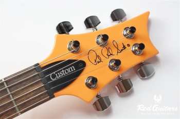 S2 Custom 24 Custom Color - OZ